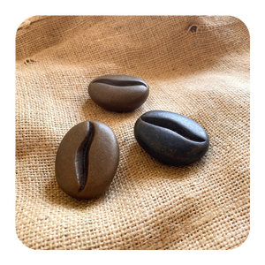 Bronze Coffee Beans by Nick Duval-Smith